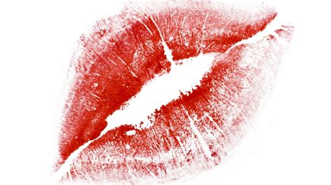 Jack black beijo de uma rosa download
